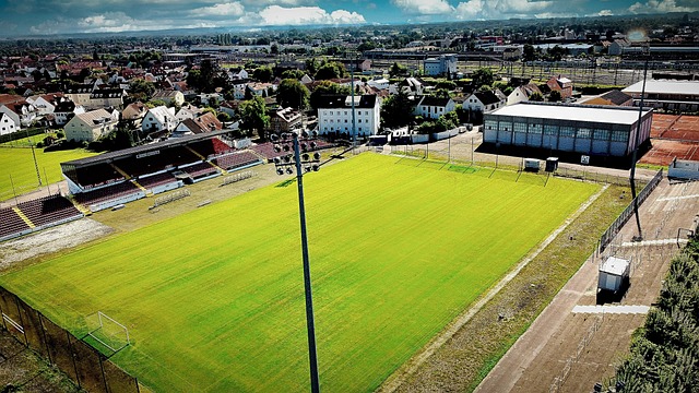 尔的直接贡 尔的直接贡