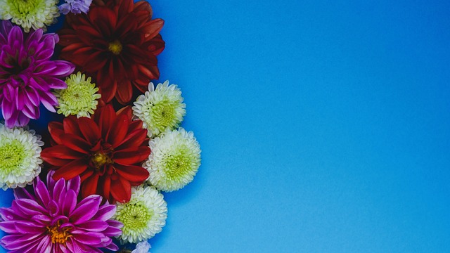 绿色能源的 绿色能源的