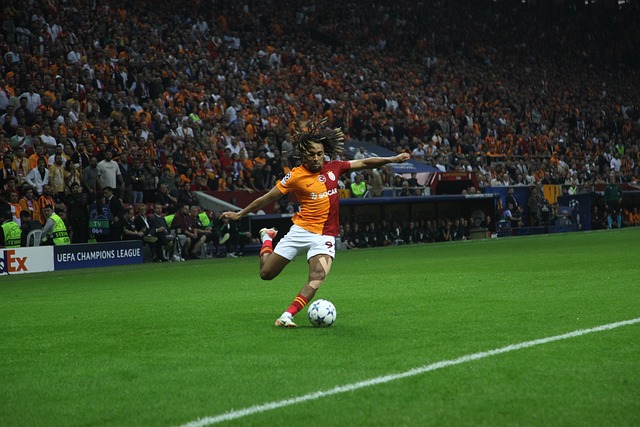 与蒋圣龙事 与蒋圣龙事