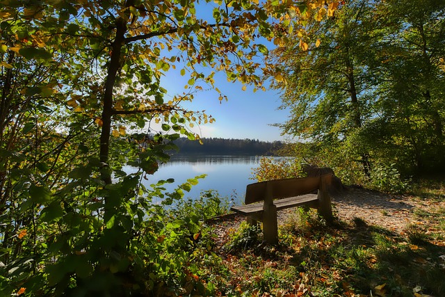 乌加特的这 乌加特的这