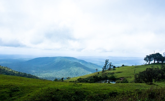 随着德布劳 随着德布劳