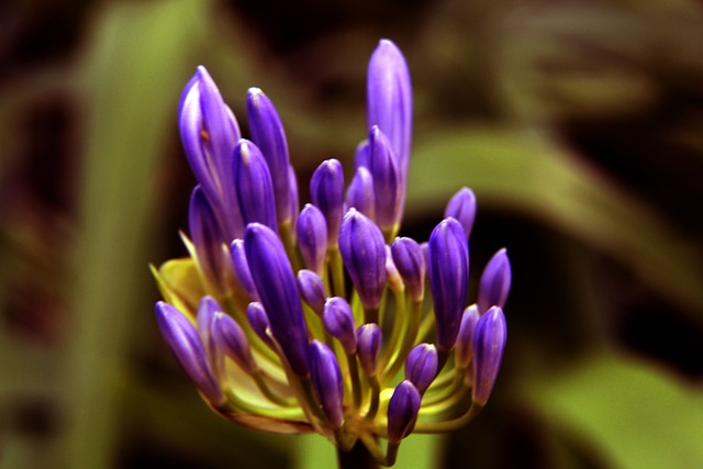 多项运动监 多项运动监