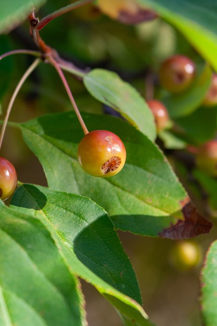 以其稳定的 以其稳定的